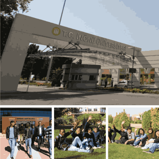 جامعة اينونو