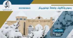 رسوم وتكاليف جامعة كوتاهيا دوملوبينار - Kütahya Dumlupinar Üni̇versi̇tesi̇ 2026 تكاليف جامعة كوتاهيا دوملوبينار